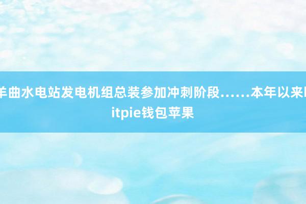 羊曲水电站发电机组总装参加冲刺阶段……本年以来bitpie钱包苹果