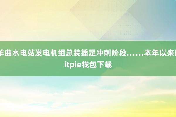 羊曲水电站发电机组总装插足冲刺阶段……本年以来bitpie钱包下载