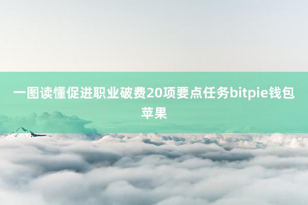 一图读懂促进职业破费20项要点任务bitpie钱包苹果