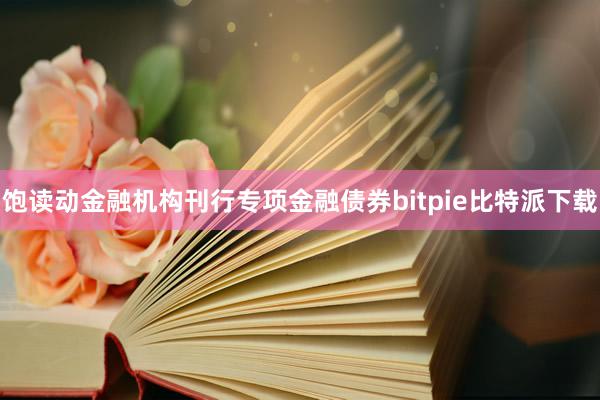 饱读动金融机构刊行专项金融债券bitpie比特派下载