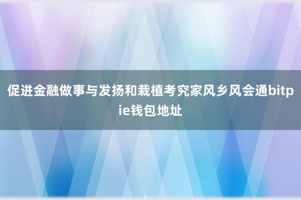 促进金融做事与发扬和栽植考究家风乡风会通bitpie钱包地址