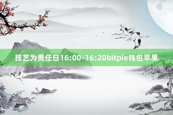 技艺为责任日16:00-16:20bitpie钱包苹果