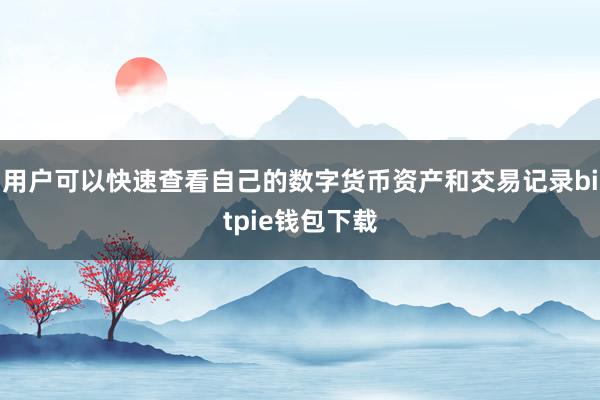 用户可以快速查看自己的数字货币资产和交易记录bitpie钱包下载