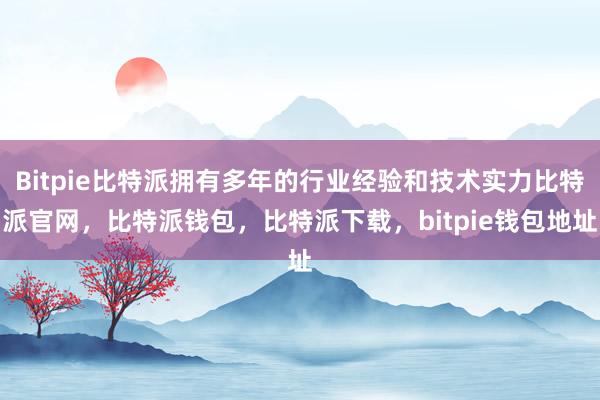 Bitpie比特派拥有多年的行业经验和技术实力比特派官网，比特派钱包，比特派下载，bitpie钱包地址