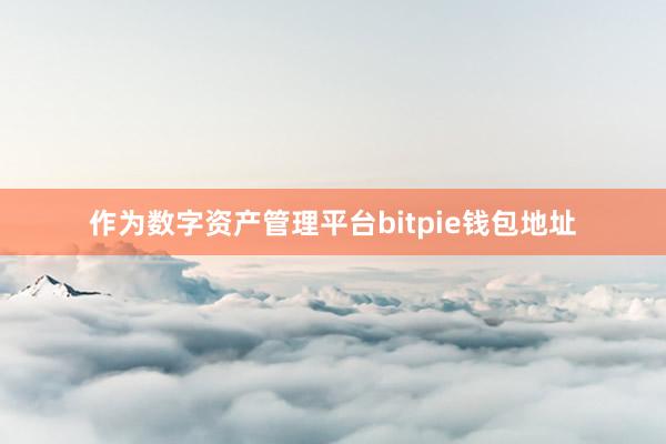 作为数字资产管理平台bitpie钱包地址