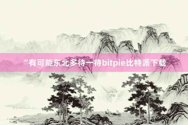 “有可能东北多待一待bitpie比特派下载