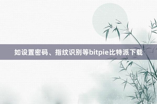 如设置密码、指纹识别等bitpie比特派下载