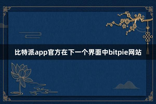 比特派app官方在下一个界面中bitpie网站