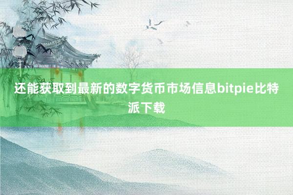 还能获取到最新的数字货币市场信息bitpie比特派下载