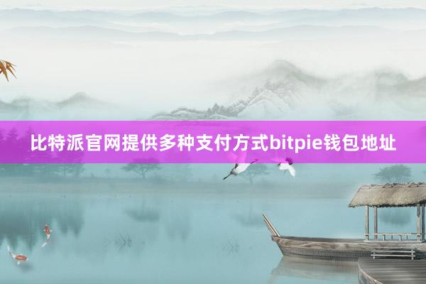 比特派官网提供多种支付方式bitpie钱包地址