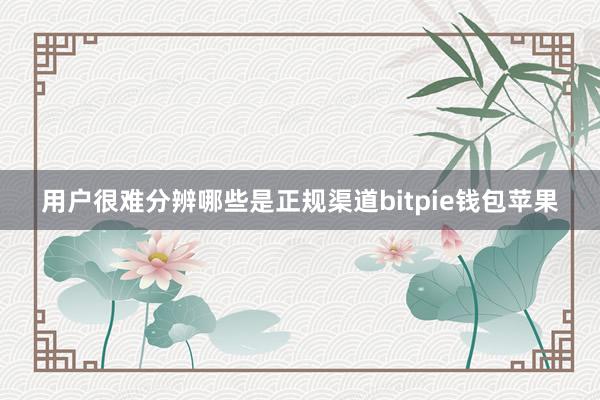 用户很难分辨哪些是正规渠道bitpie钱包苹果