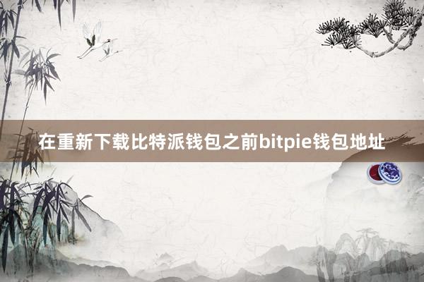 在重新下载比特派钱包之前bitpie钱包地址