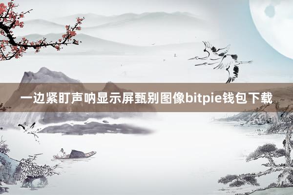 一边紧盯声呐显示屏甄别图像bitpie钱包下载