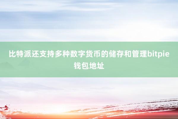 比特派还支持多种数字货币的储存和管理bitpie钱包地址