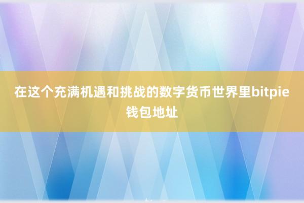 在这个充满机遇和挑战的数字货币世界里bitpie钱包地址