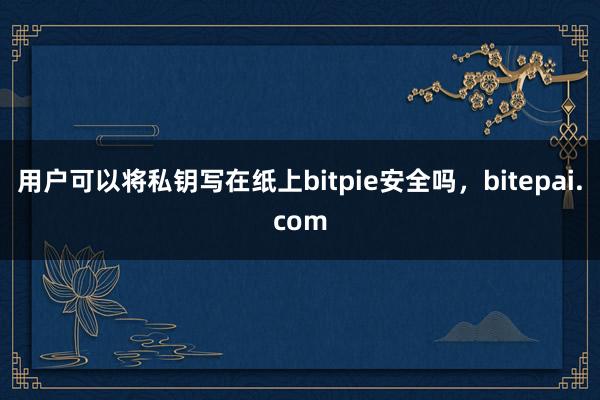 用户可以将私钥写在纸上bitpie安全吗，bitepai.com