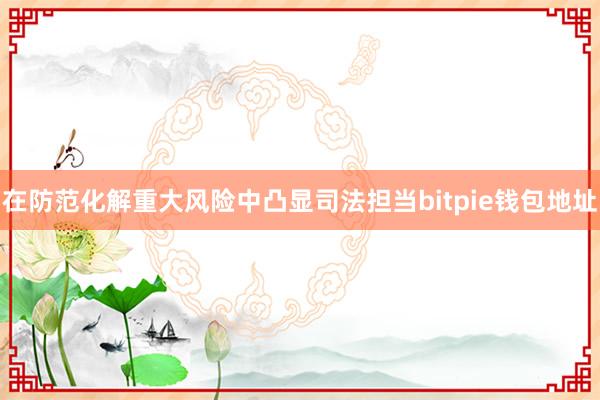 在防范化解重大风险中凸显司法担当bitpie钱包地址