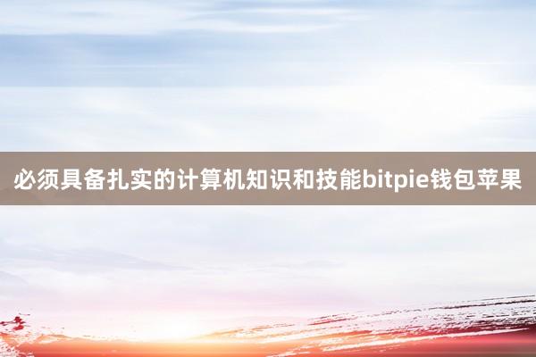 必须具备扎实的计算机知识和技能bitpie钱包苹果