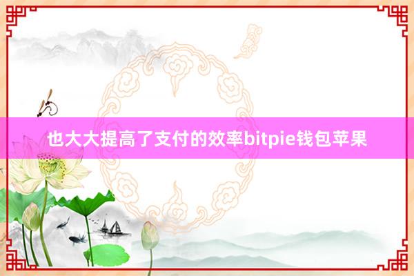 也大大提高了支付的效率bitpie钱包苹果