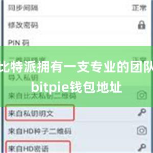 比特派拥有一支专业的团队bitpie钱包地址