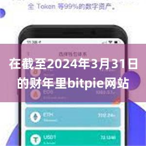 在截至2024年3月31日的财年里bitpie网站