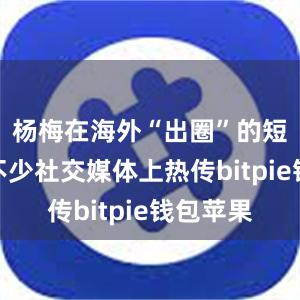 杨梅在海外“出圈”的短视频在不少社交媒体上热传bitpie钱包苹果